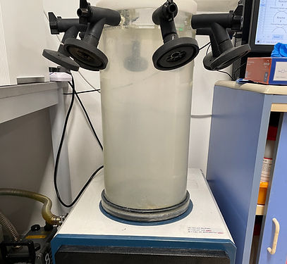 Freeze Dryer