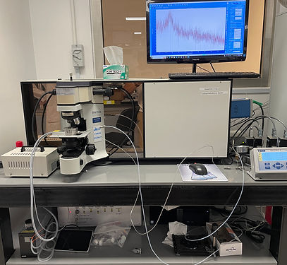 In-situ Raman Labram HR800